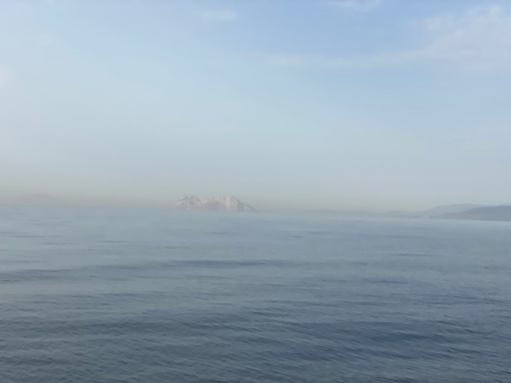 A Tale of Waves, Fog, Dolphins and&nbsp;Monkeys