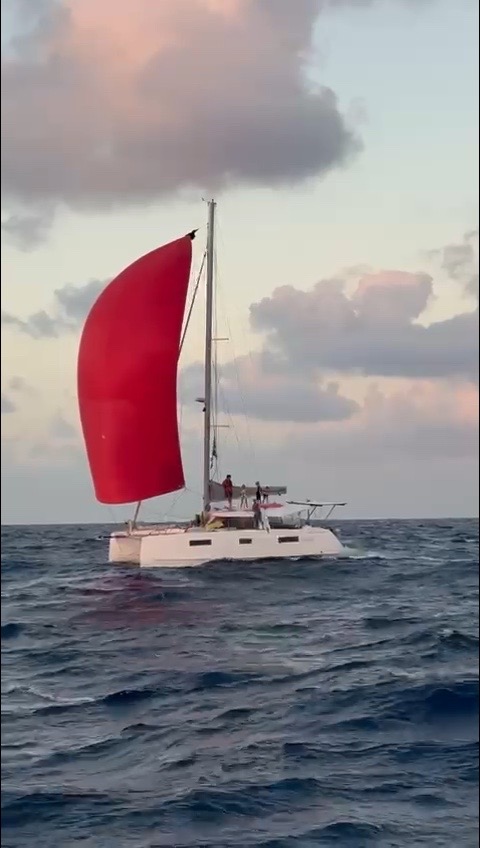 Day 5 – birthdays and pradoxons