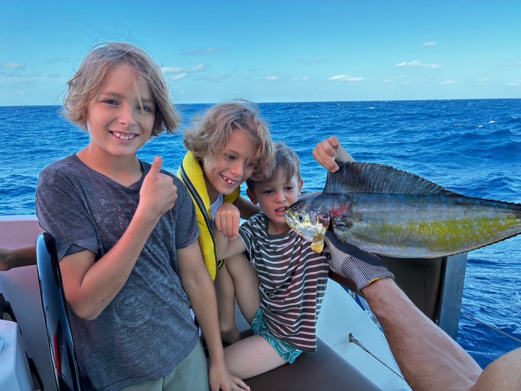 Day 3 – out go the lines!