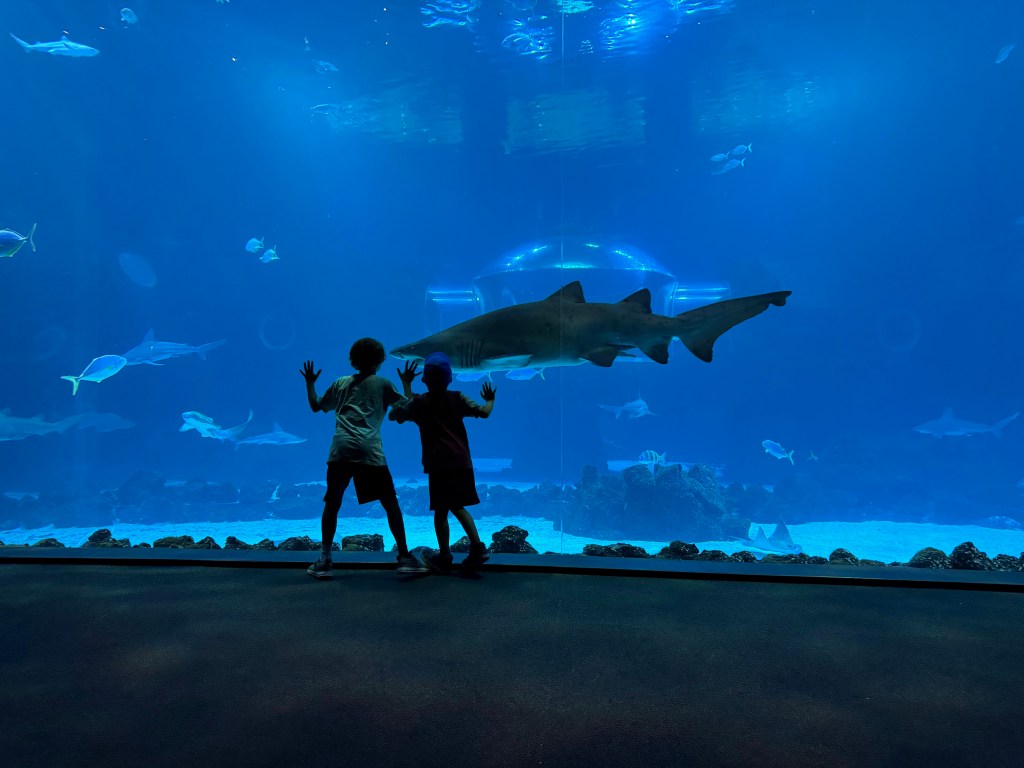 Dockside Days and Atlantic&nbsp;Dreams