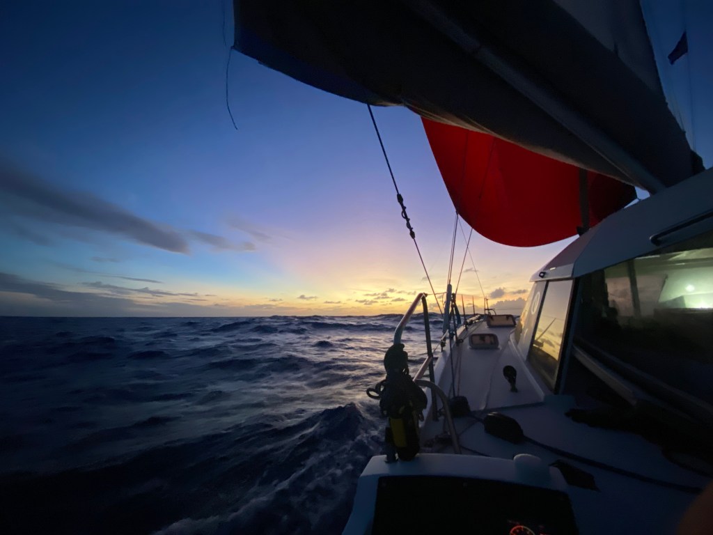 Day 6 – too good to be true