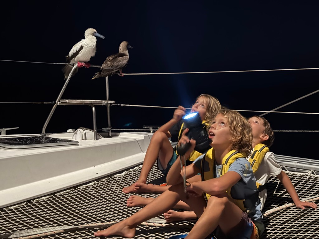 to the Galápagos – day 5