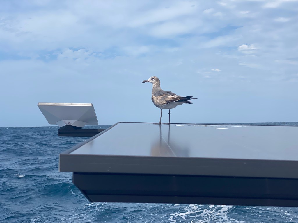 to the Galápagos – day 2