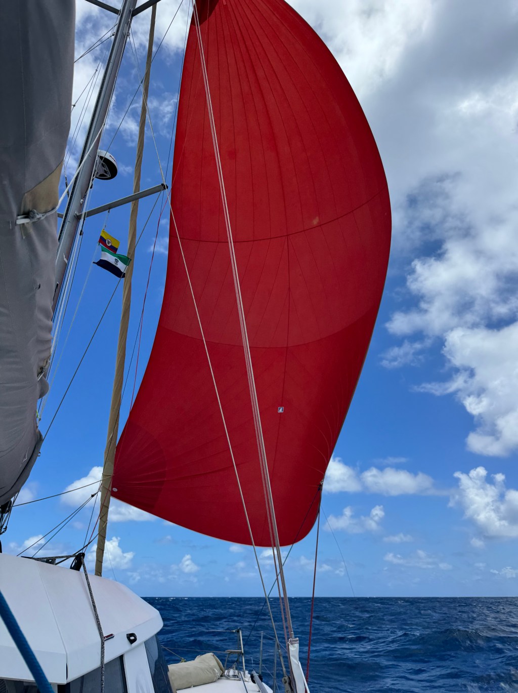 into the big blue – day&nbsp;13