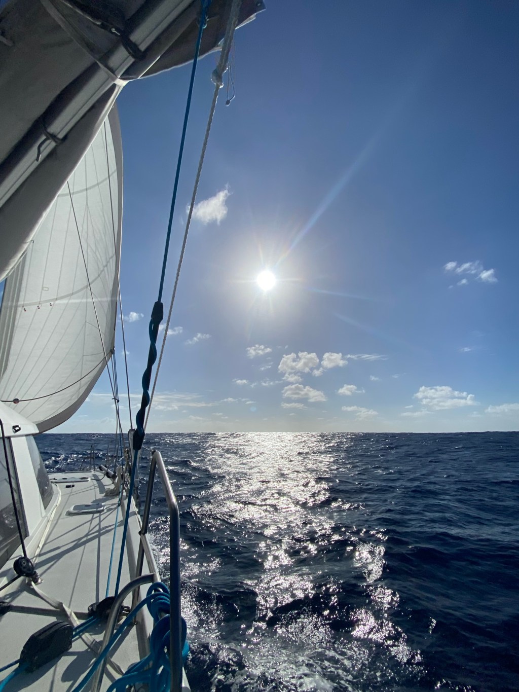 into the big blue – day&nbsp;8