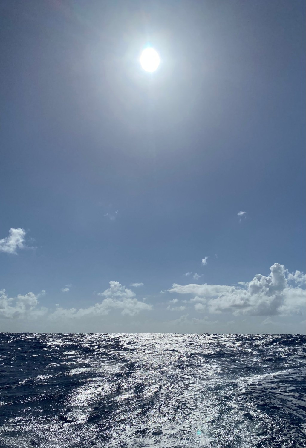 into the big blue – day&nbsp;17
