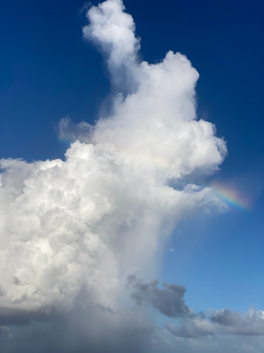 into the big blue – day&nbsp;18