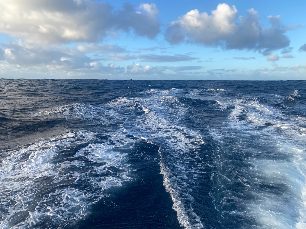 to Australia – day 4